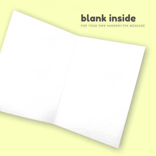 Funny Happy Birthday Card, Alpaca Funny Birthday card, Pun Aplaca Party Hat Birthday Card