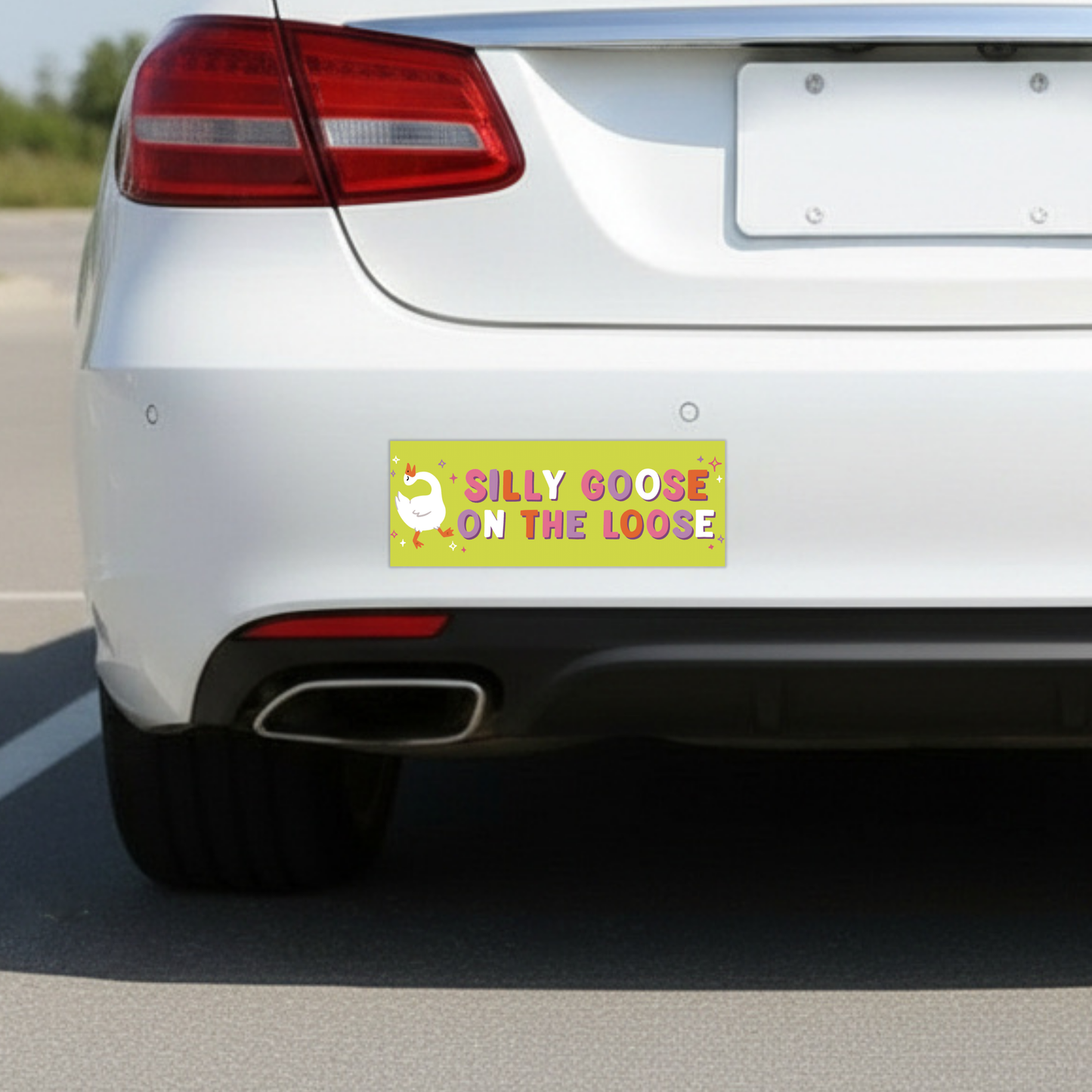 Silly Goose On The Loose | Funny Car Magnet