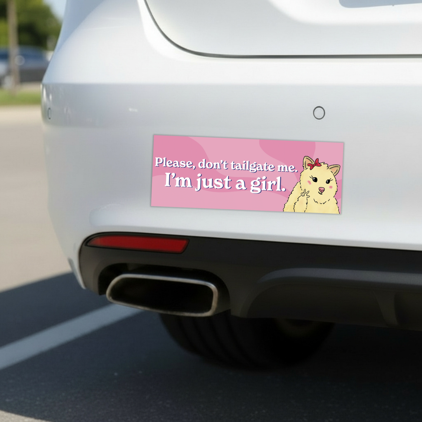 Don't Tailgate Me | Funny Car Magnet