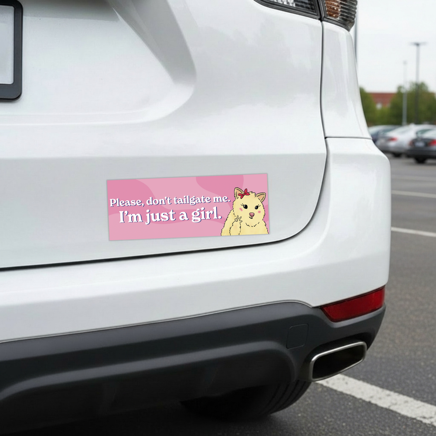 Don't Tailgate Me | Funny Car Magnet